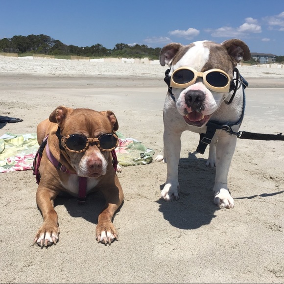 Meet your Posher, Jen - Picture 2 of 2